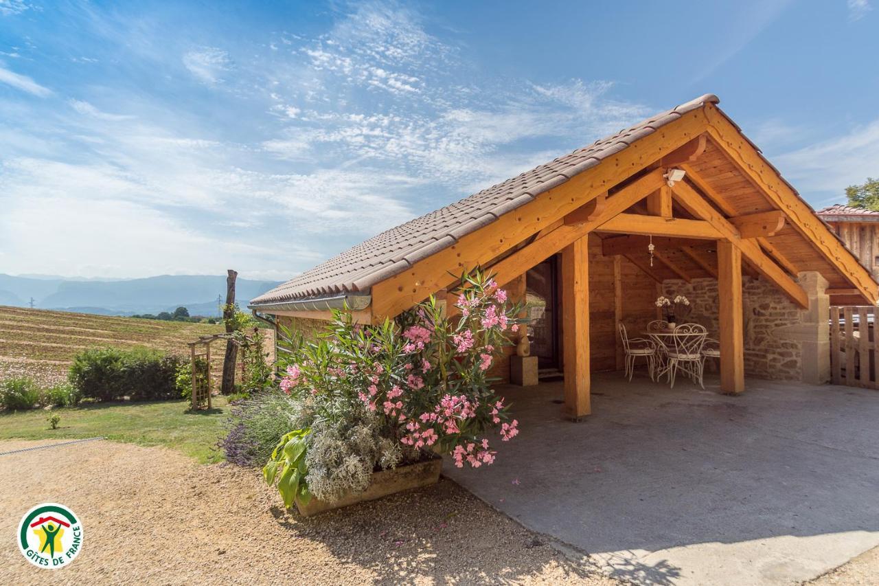 Chalet Le Clos De L'Orme Saint-Lattier Exterior photo